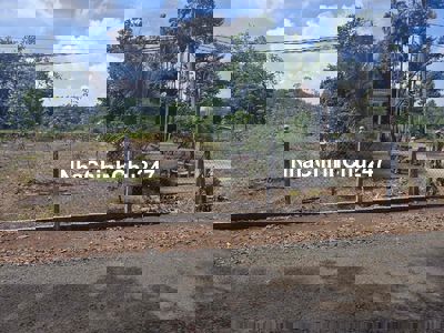 đất nền đã ra sổ