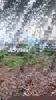 Giá đầu tư lô đất thổ cư 80m2