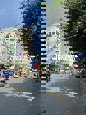 nhà mặt tiền đường phạm văn bạch quận tân bình DT 12x41