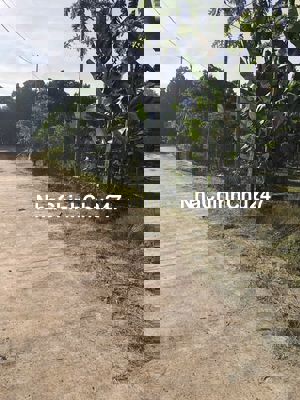 Gấp bán hơn 1 sào gần chợ Bàu Cối,dân cư đông,có nhà sẵn đẹp nhỉnh 1tỷ