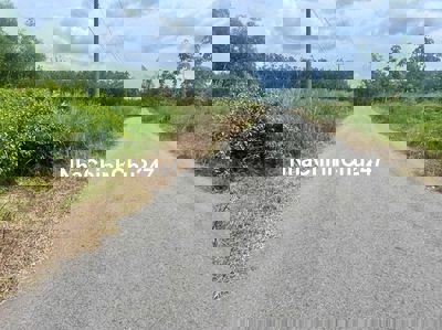 Kẹt tiền ngân hàng bán nhanh trong tuần 250m2 thổ cư 350 tr