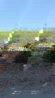 Đất ngộp Hoà Lợi, Bến Cát