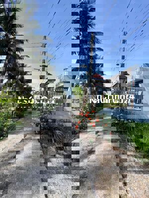 Sổ sẵn 175m2 thổ . xã An Nhựt Tân hiếm có giá này . Tân Trụ - Long an