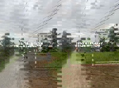 Đất thổ mt xe hơi 247m2 xã Tân Lân ngộp 1 tỏi 250tr