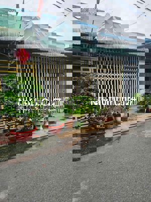 Chủ Nhà Cần Bán Gấp Nhà Richhome chánh phú hòa 1 tỷ 370 triệu OTL