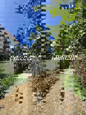 HẺM XE HƠI ĐƯỜNG LÊ THỊ HỒNG GẤM GẦN TR. CHUYÊN, 118M2 ĐẤT GIÁ 1.5 TỶ