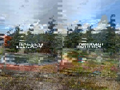 BÁN VƯỜN SẦU RIÊNG ( Bình Phước)  Vườn trồng full sầu thái đang cho th