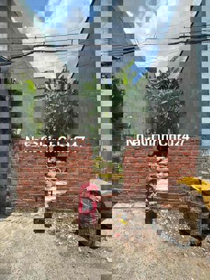 🎉Bán đất hẻm xe hơi Bình Thạnh_4x12_gần chợ Bà Chiểu_ngã năm Bình Hoà