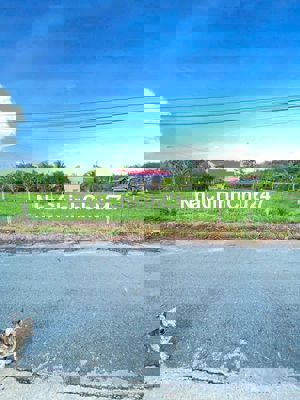 Cần bán gấp lô đất đường Trương Thị Kiên, Thái Mỹ, 100m2,SHR,600tr