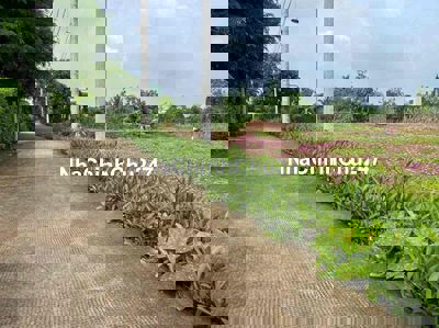 300m2 thổ cư lô góc đẹp đường bê tông xe hơi vi vu tại Cần Giuộc