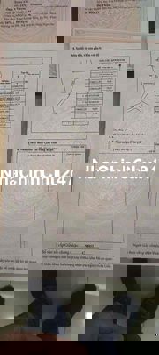 cần bán trang trại lợn. đất có thổ cư và cây lâu lăm