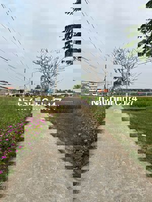 Đất thổ mt xe hơi Ấp Xóm Mới xã Tân Lân 160m2 giá rẻ 720tr