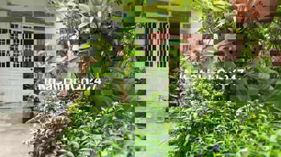 Bán nhà Vườn kiệt ngay công viên đường Bắc Sơn đi vào 50m