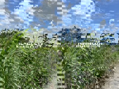 10x30 thổ Cư giá 699 triệu. ĐƯờng Xe Tải, Đường Thông, Sổ sẵn