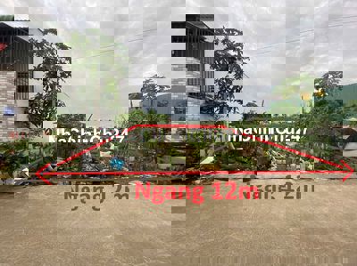 Bán đất (12mx18m), Gần Ủy ban Bình Mỹ, Hẻm xe tải, Thổ cư 100%