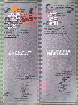 BÁN LÔ ĐẤT THỔ CƯ SHR 4X15M HẺM XE HƠI NGUYỄN VĂN QUÁ P.THT Q12