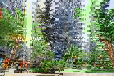 Mua nhà tặng xe - Mua căn hộ 1PN +1 tặng ngay VF3 phân khu The Beverly