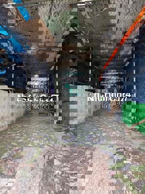 BÁN ĐẤT TẶNG NHÀ CẤP 4 GIÁ MỀM ĐƯỜNG NHỰA XE HƠI