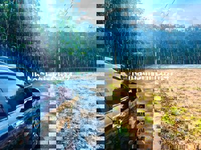 Đất bình dương 2500m2 chỉ 790 tr sổ riêng thổ cư đường xe hơi