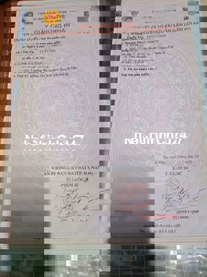 Bán 2 lô Kiệt ô tô Ngô Quyền, Phường Mân Thái, Sơn Trà, Đà Nẵng