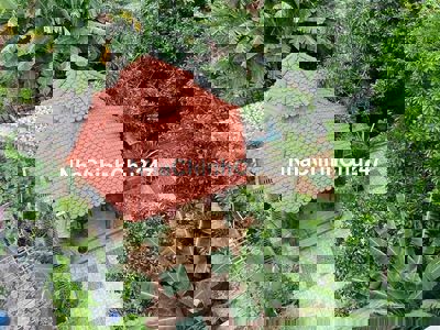 Bán Nhà 2 lầu tặng đất sân Vườn tổng 355m2 giá 4tỷ950tr