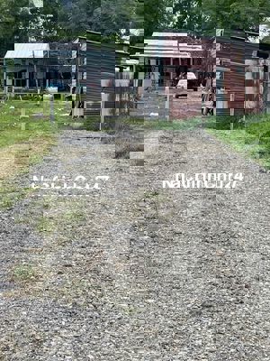 Đất trồng cây diện tích 4750 m đường xe tải cách đường lớn 80