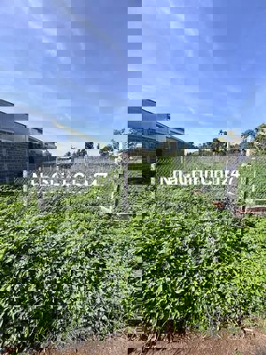 Chính chủ cần bán lô đất gần UBND Phường Tân An mới