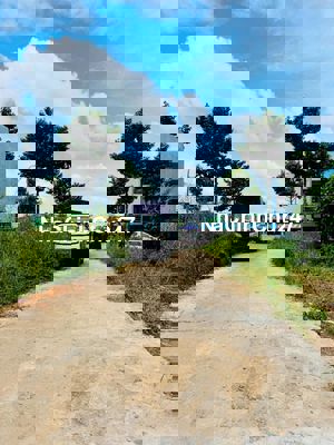 ✅✅Đất hẻm xe hơi cách Nguyễn Công Bình 30m✅✅