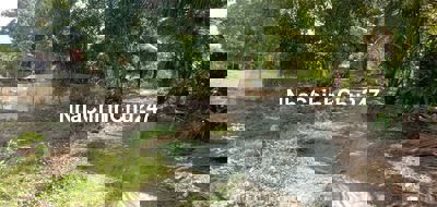 Chủ cần bán lo đất thổ cư 300mv giá 750tr. Dức huệ long an