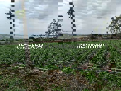 DT 1,153m2 (30mx40m) sẵn 200m2 thổ cư, đường xe hơi 4m chỉ 1ty190triệu