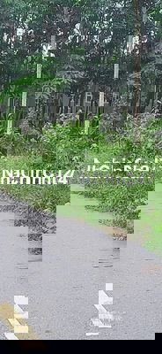 Đất có sổ 151,4m² chính chủ, đường nhựa 6m² gần Chợ, Trường Học – UBND