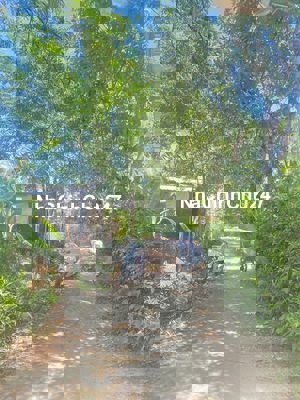 SÁT VÁCH KHU HÀNH CHÍNH ĐIỆN BÀN CHỦ CẦN RA ĐI LÔ 200M2 ĐẤT Ở