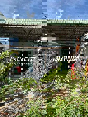 227m2 60 thổ thái mỹ cây trôm đi vào cần bán gấp