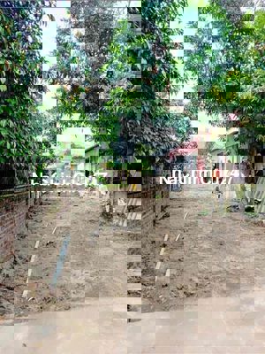 Đất 125m2 ngang 5m Hoàng Lâu, Hồng Thái, An Dương 2,27 tỷ