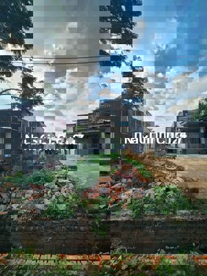 CHÍNH CHỦ BÁN ĐẤT SÁT THỊ TRẤN ĐỨC TÀI ĐỨC LINH BÌNH THUẬN