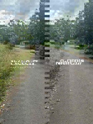 Đất thổ cư mặt tiền nhựa An Long, Phú Giáo chính chủ