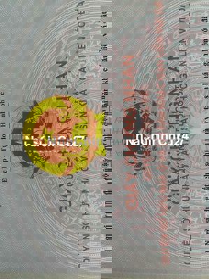 Bán đất vị trí đẹp đường nhựa lớn xe container, ngay trung tâm phường