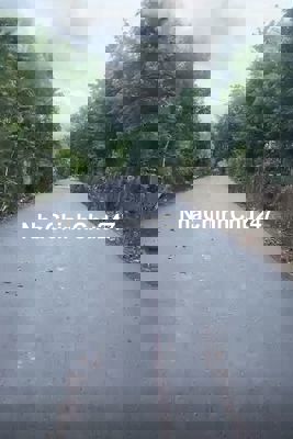 Bán lô đất 400m2 đã có thổ, ngay MT đường nhựa 8m gần giáo xứ Văn Côi