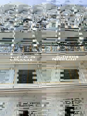 Khu Biệt Thự Phố 1 lững 3 lầu A.D.Vương 4.5x12m,SH