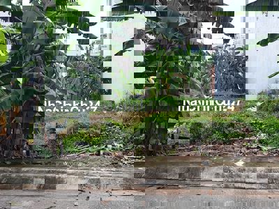 Hạ giá bán gấp lô đất 10x18, hẻm nhựa xe tải, gần chợ Bà Điểm- Hóc Môn