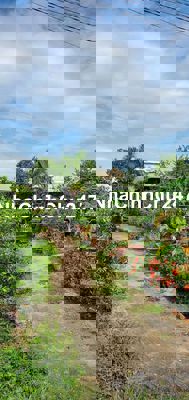 BÁN ĐẤT GẦN CĐM HM ,BẢY TRĂM HAI MƯƠI HAI MV. GIÁ CHỈ 4 TỶ, HẺM XE TẢI