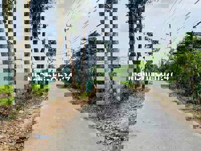 Đất Thái Mỹ 156m2 ( 5x33m) Mặt Tiền Nhựa 8m Cách QL 22 Chỉ 1km.