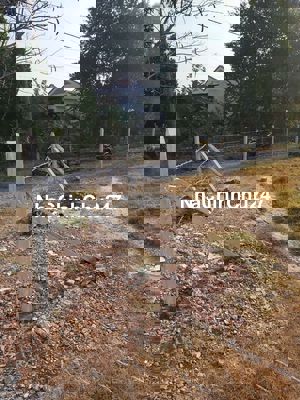 ĐẤT THỔ CƯ TÂN AN HỘI, CỦ CHI CHÍNH CHỦ