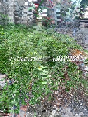 (Có video)ĐẤT HẺM XE HƠI 51m2,thổ cư,ngõ Đại Đồng,đồng hoàng,đồng mai