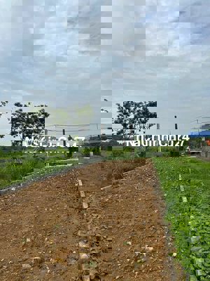 Đất phun thổ cư ven đô  222 m2 ( quốc oai -hà nội )