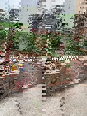 thái bình, mai lâm ,bìa làng,gần vin cổ loa,cầu đông trù,cầu tứ liên