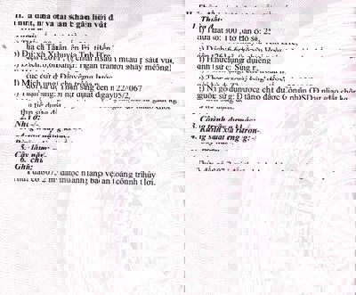 Chính chủ cần bán GẤP Đất ruộng Tân Xuân 2616,6m2 đã có số