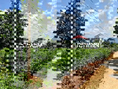 chính chủ bán đất đẹp thị trấn Nam Ban 142 m đất ODT