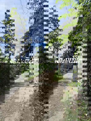 chính chủ vỡ nợ bán nhà long an