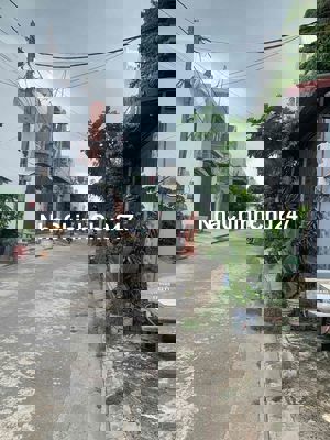 Đất thổ cư 114m2 Bà Điểm 4 Hóc Môn chính chủ hẻm 8m